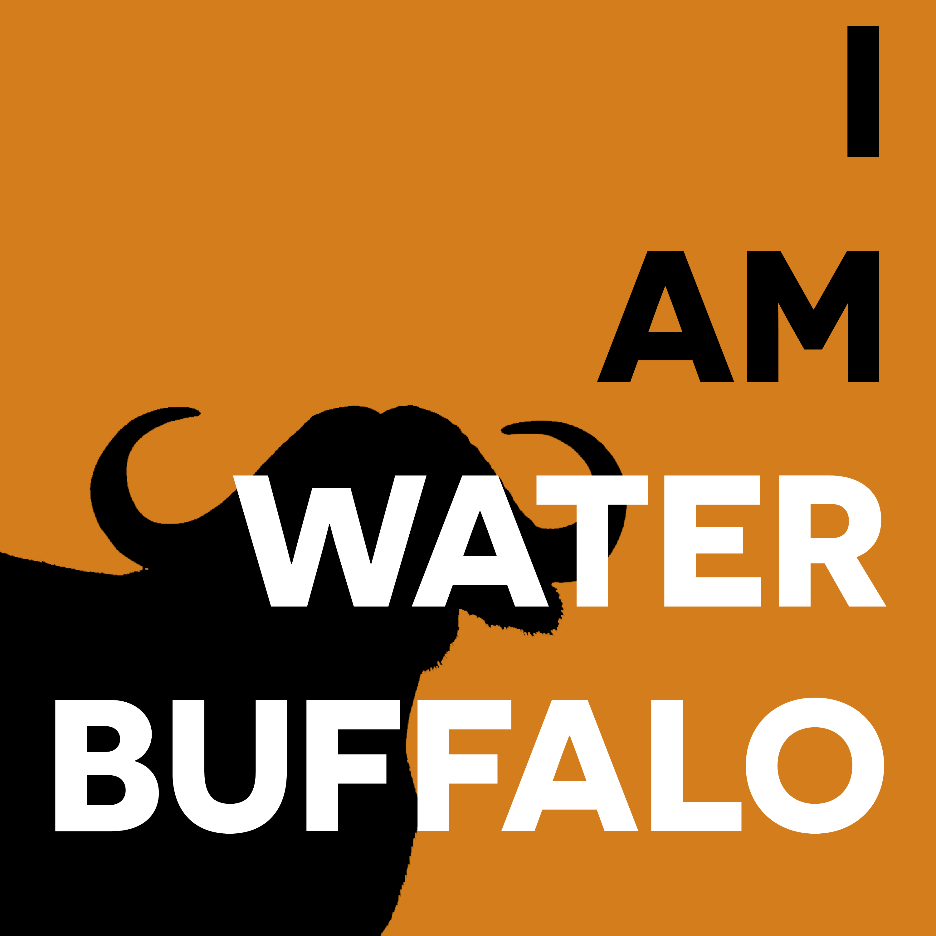 I am Water Buffalo